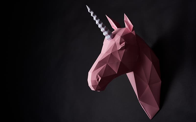 O Proximo Unicornio Pode Ser O Seu Tenha Em Maos O Guia Para Obter Sucesso Em Sua Startup - Cayro Contabilidade